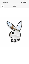 PLAYBOY MIRROR