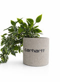CARHARTT PLANTER