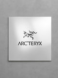 ARCTERYX MIRROR