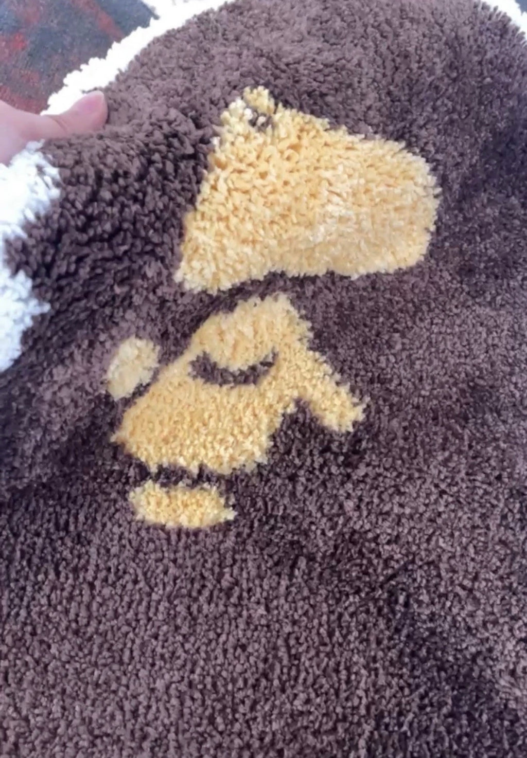 BAPE Rug