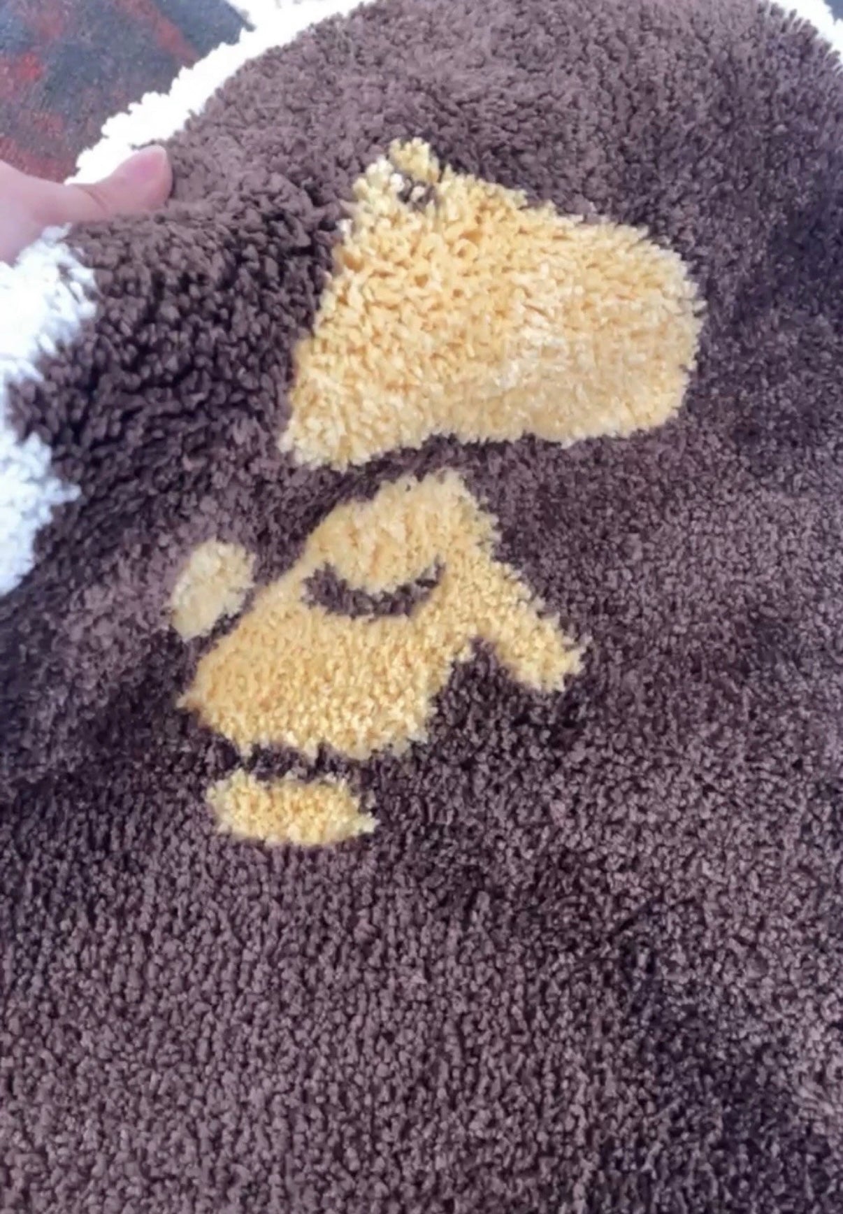 BAPE Rug