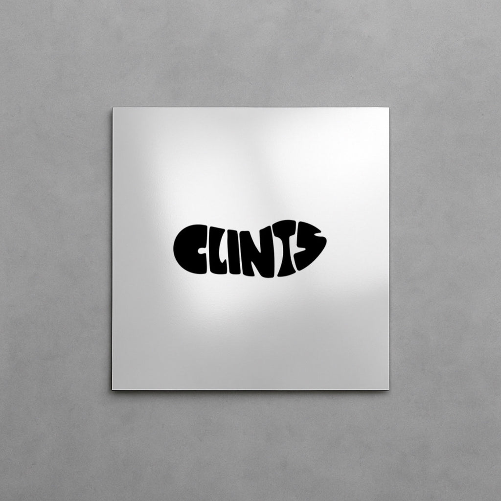 CLINTS MIRROR